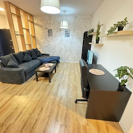 Glam Apartments Lipatti Near Iulius Mall And City Center Temeşvar Dış mekan fotoğraf